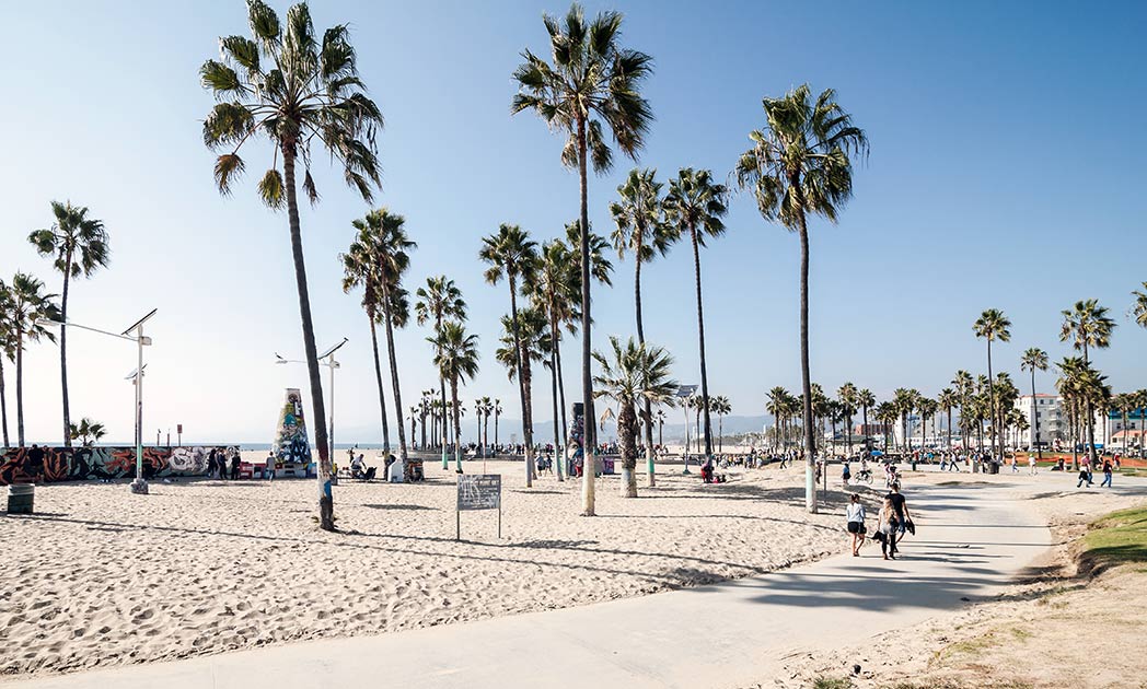 How to rock 24 hours in Venice (Beach, that is) Live Last Minute